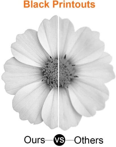 519NLsGJ1CL._AC_SL1001_