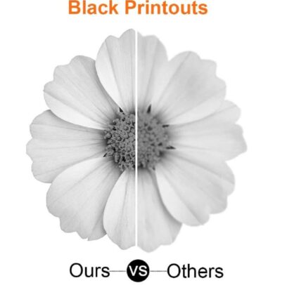 519NLsGJ1CL._AC_SL1001_-666×842